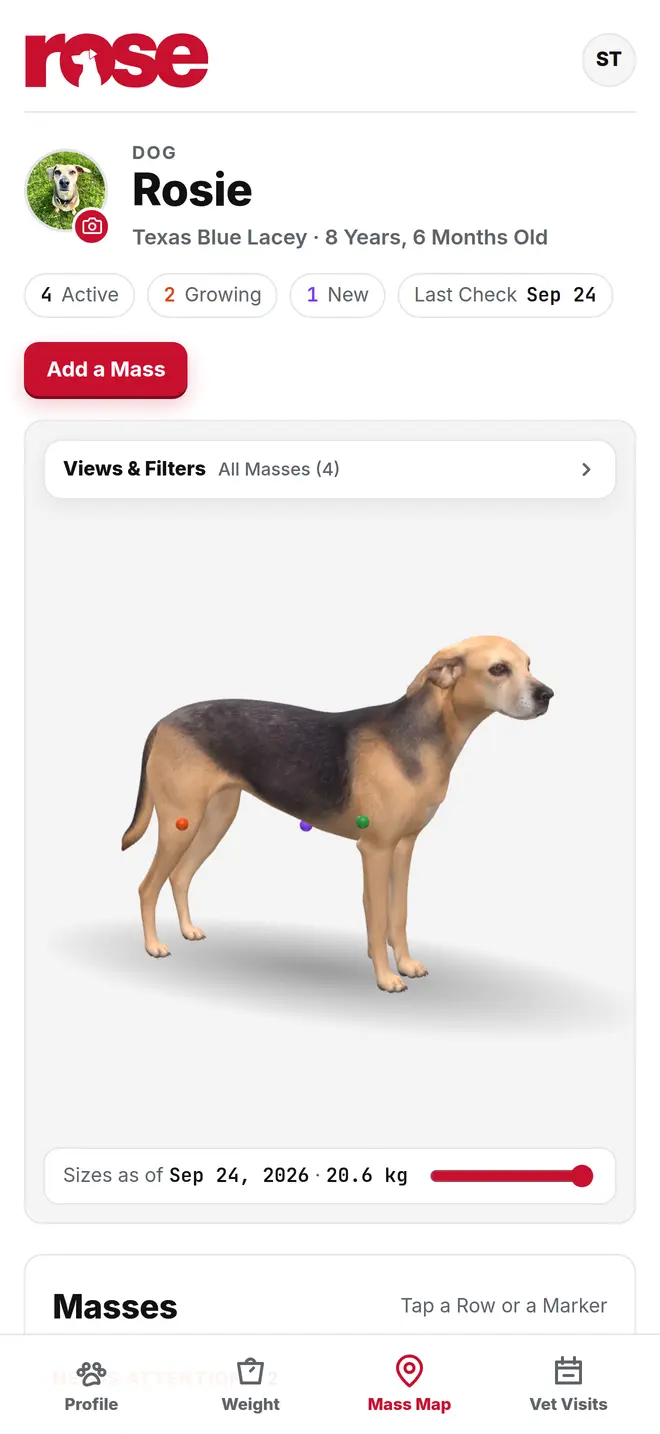 ROSE Mass Map showing lumps pinned on a 3D dog