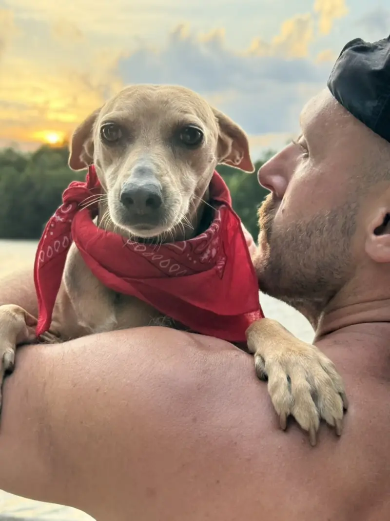 Rosie in a red bandana, held over Michael's shoulder at sunset